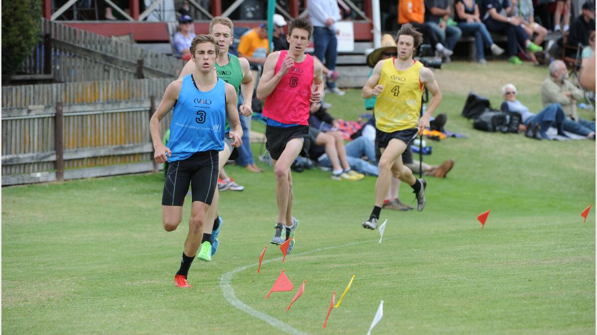 Hundreds turn out for the ninth annual Daylesford Gift: 800M Liam Procaccino       