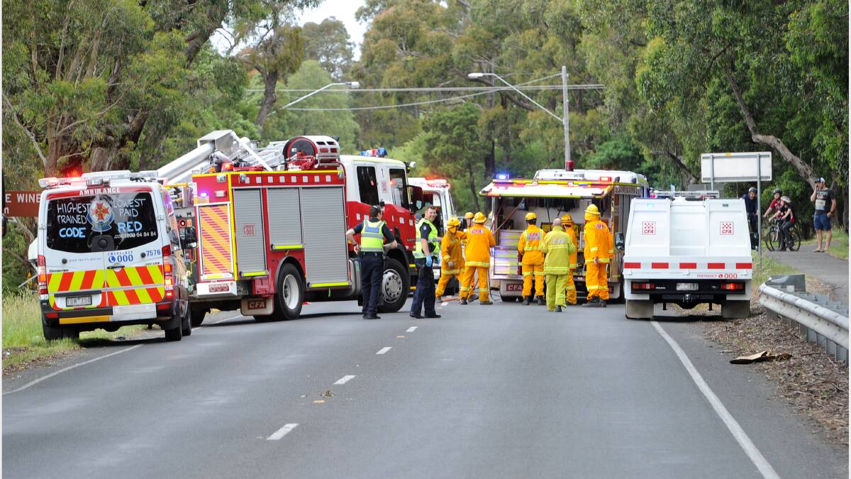 A man is in a stable condition after crashing into a tree in Geelong Road this afternoon. Photo Justin Whitelock 