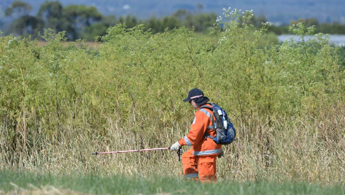 SES searching for a missing 70 year old man in Sebastopol. PIC: KATE HEALY