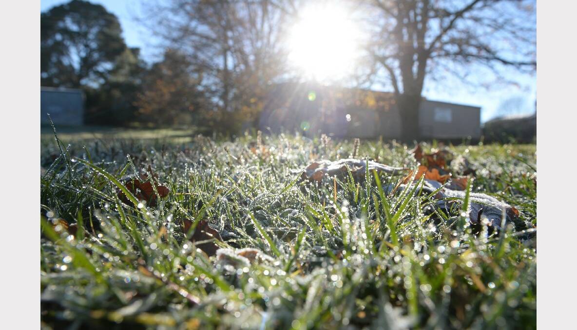 A frosty morning in Ballarat left the grass and leaves frozen. PHOTO: KATE HEALY