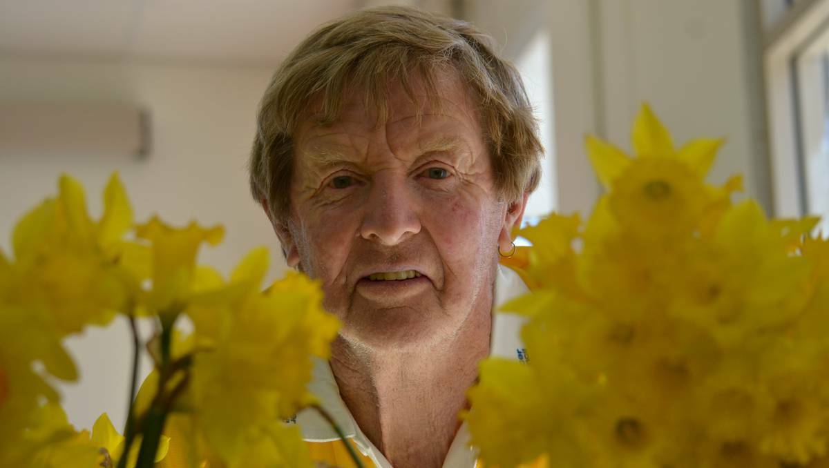 It's the fifth year Geoff Bowyer from Yankalilla in South Australia has sold his homegrown daffodils to raise money for Daffodil Day. Picture: Alice Dempster