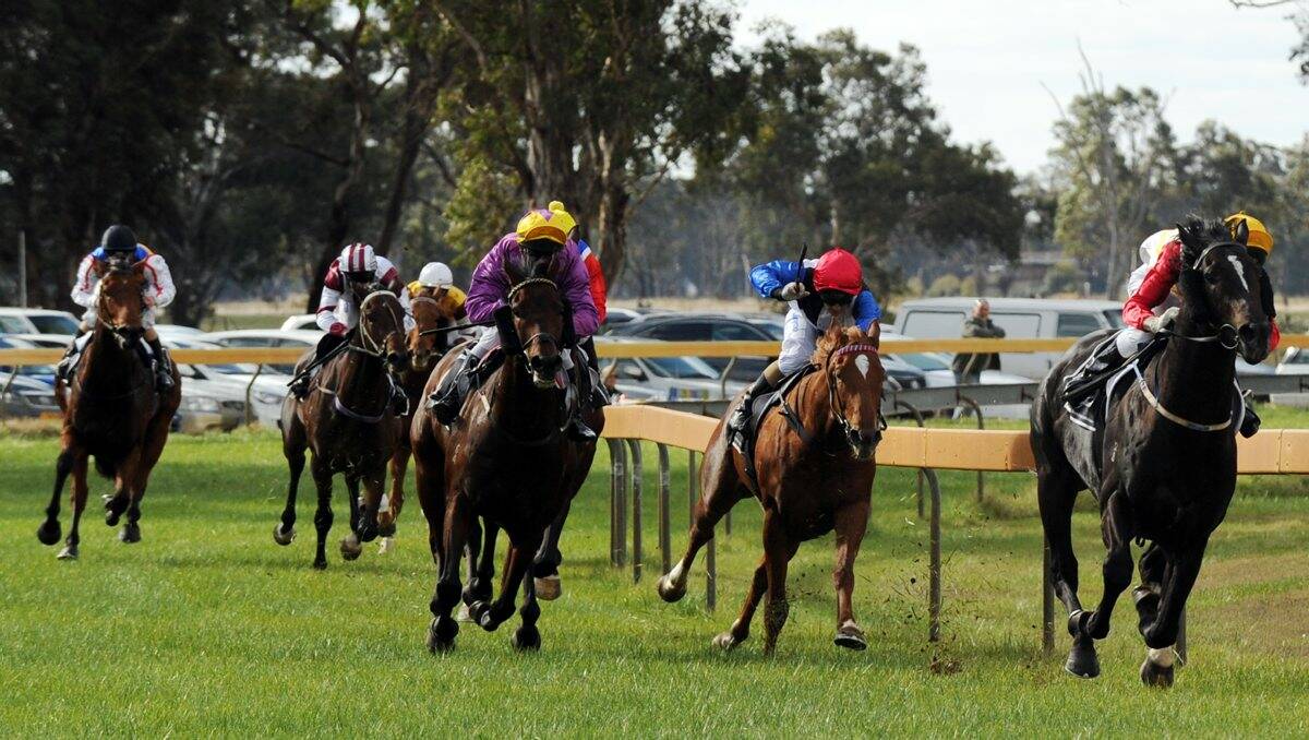 NEW DAY: The Ballarat Cup will now be held on a Saturday after receiving Racing Victoria's approval