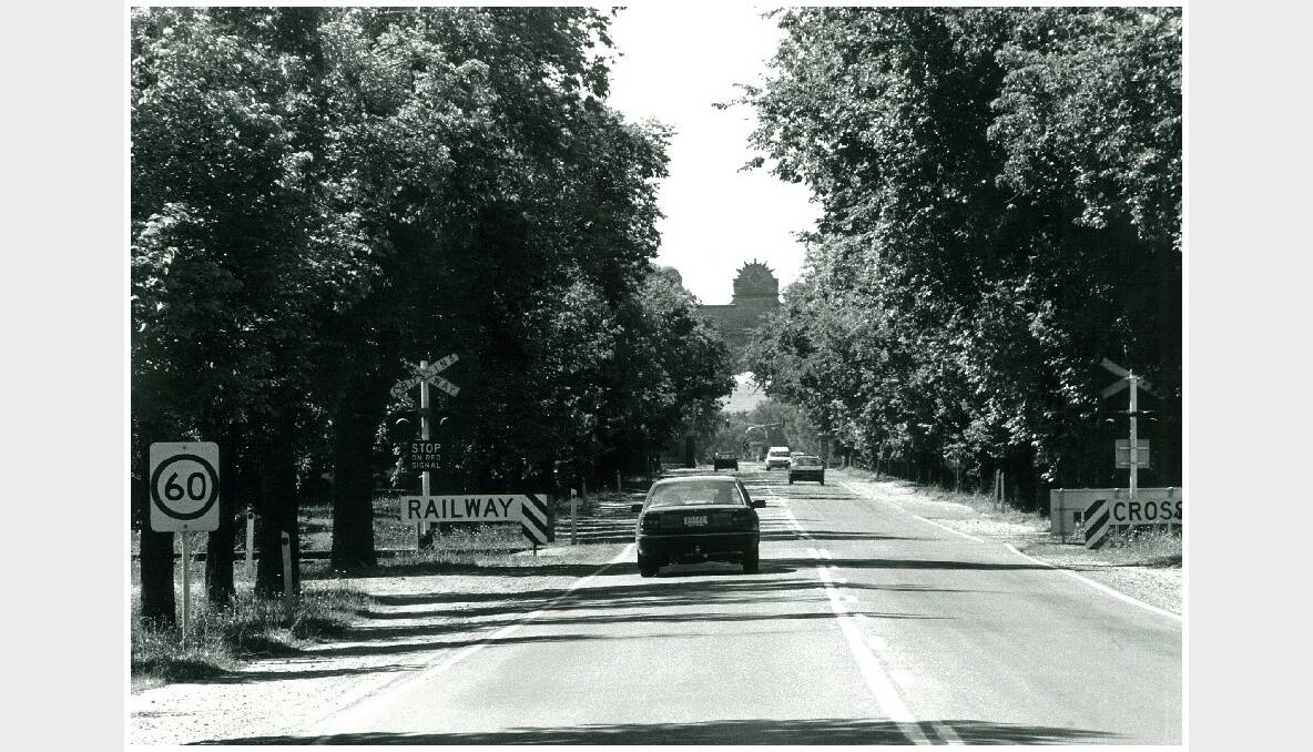 The Avenue of Honour. SOURCE: THE COURIER ARCHIVES.