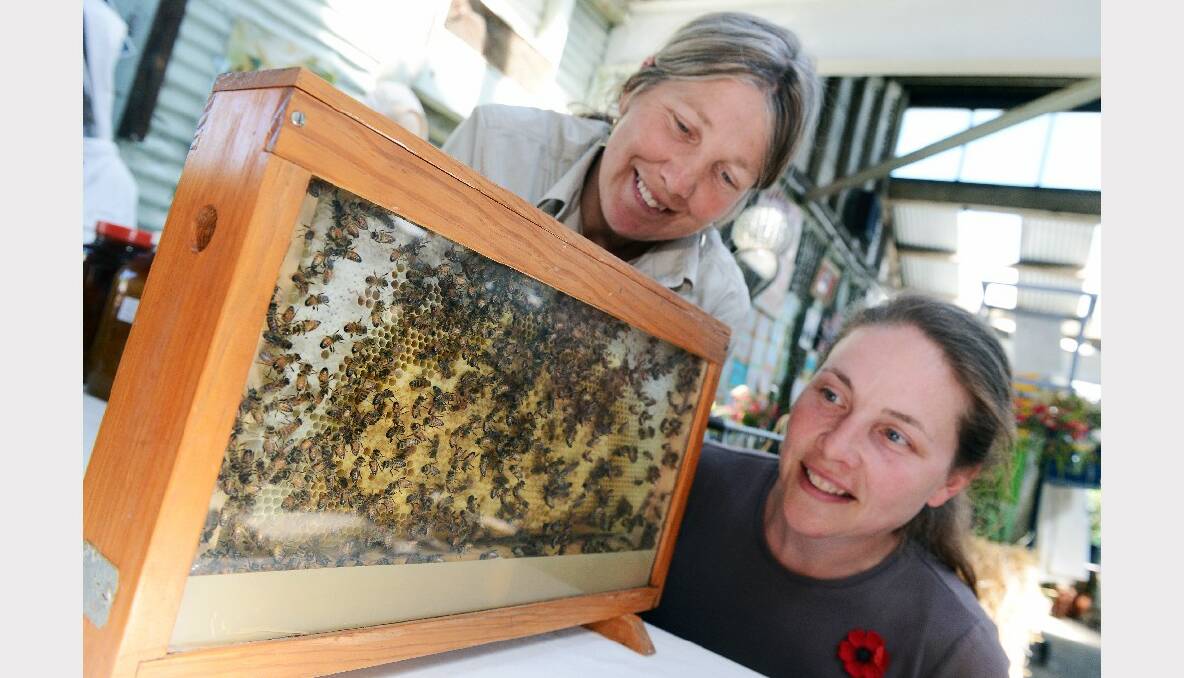 Angela Enbom (Dunnstown) and Jane Cox (Clunes) educating people about bees and honey