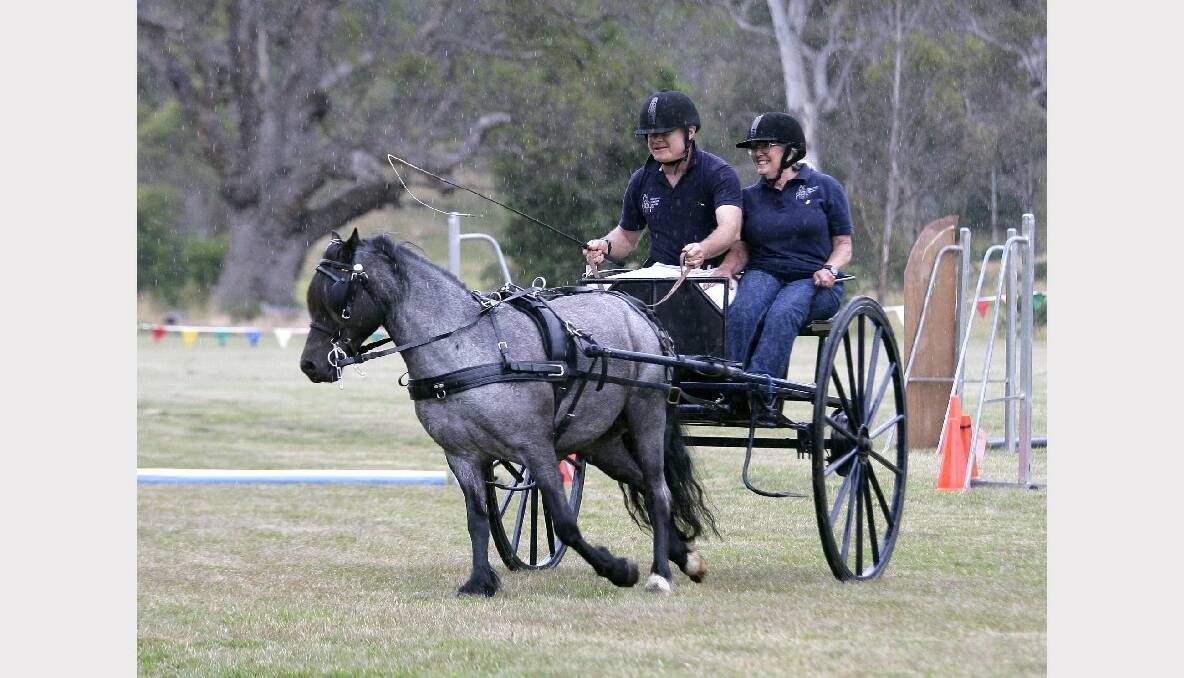 Andy Schwartz, Madelein Bentley Horse: Epona Champ (aka Dobby) in the horse and carriage display. Photo: CRAIG HOLLOWAY.