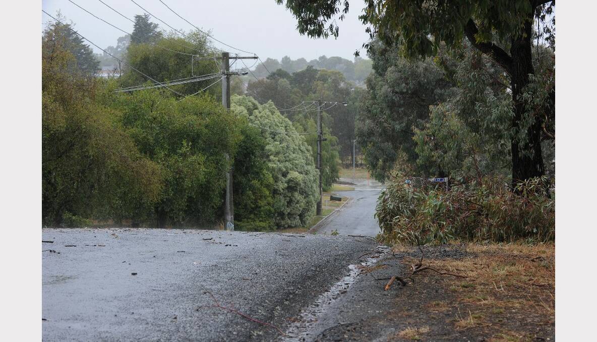 Wild winds brought down many tree branches. PICTURE: JUSTIN WHITELOCK.