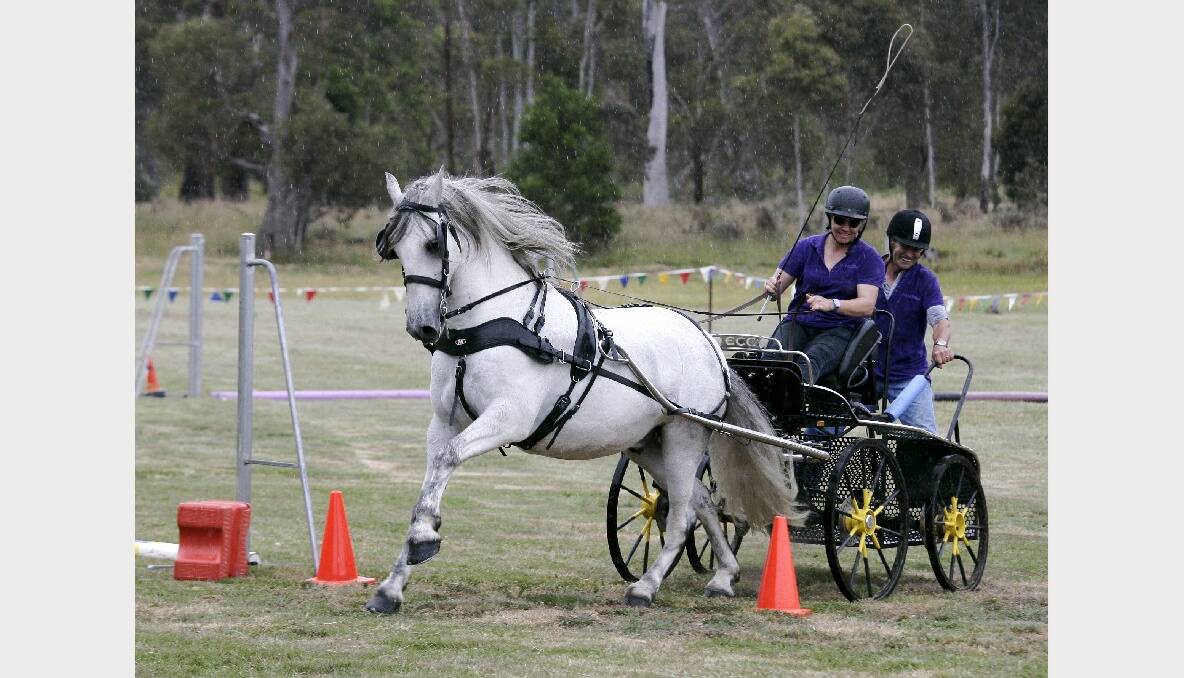 Jodie McKeone, Malcolm Horse: Shepherds Hill Larry in the horse and carriage display. Photo: CRAIG HOLLOWAY.