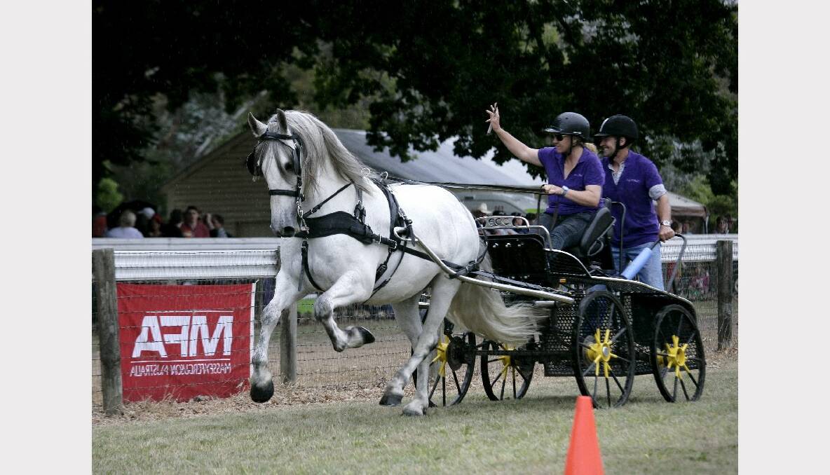  Jodie McKeone, Malcolm Horse: Shepherds Hill Larry in the horse and carriage display. Photo: CRAIG HOLLOWAY.