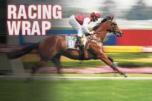 Racing Wrap - Ballarat