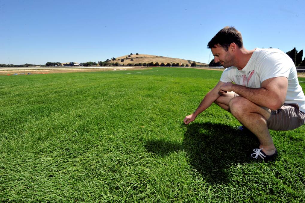 BTC sales and marketing manager Ryan Stanaway admires the new turf at Ballarat racecourse