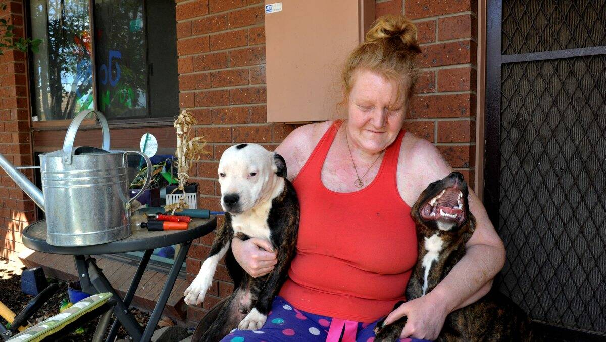 Bruiser's owner Caroline Elliott with other dogs George and Teak. Picture: Jeremy Bannister
