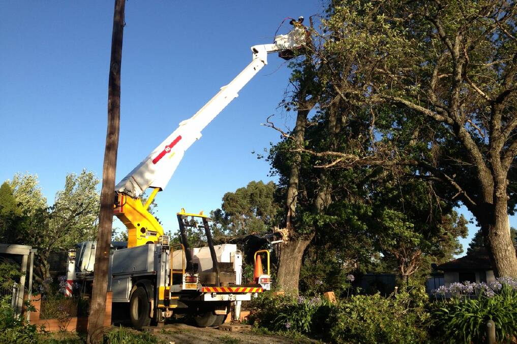 Crews work to clean up the large tree branch which fell across a Creswick house. PIC: Matt Dixon