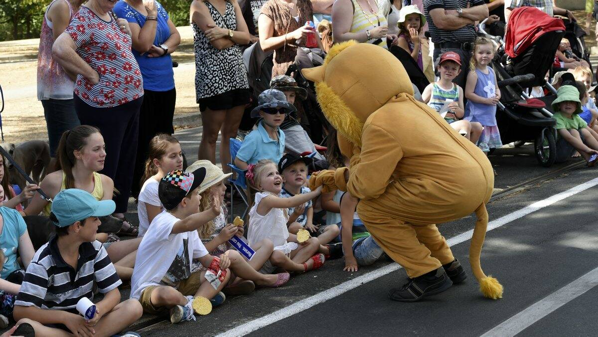 The Lions Club lion meets the crowd at The Courier Begonia Parade. PICTURE: JEREMY BANNISTER