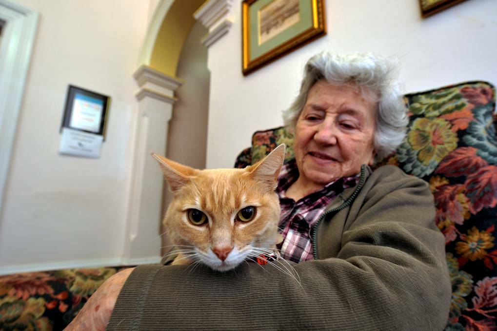  Rocky the cat provides a special type of therapy for residents like Joan at Ballarat's Eyres House.