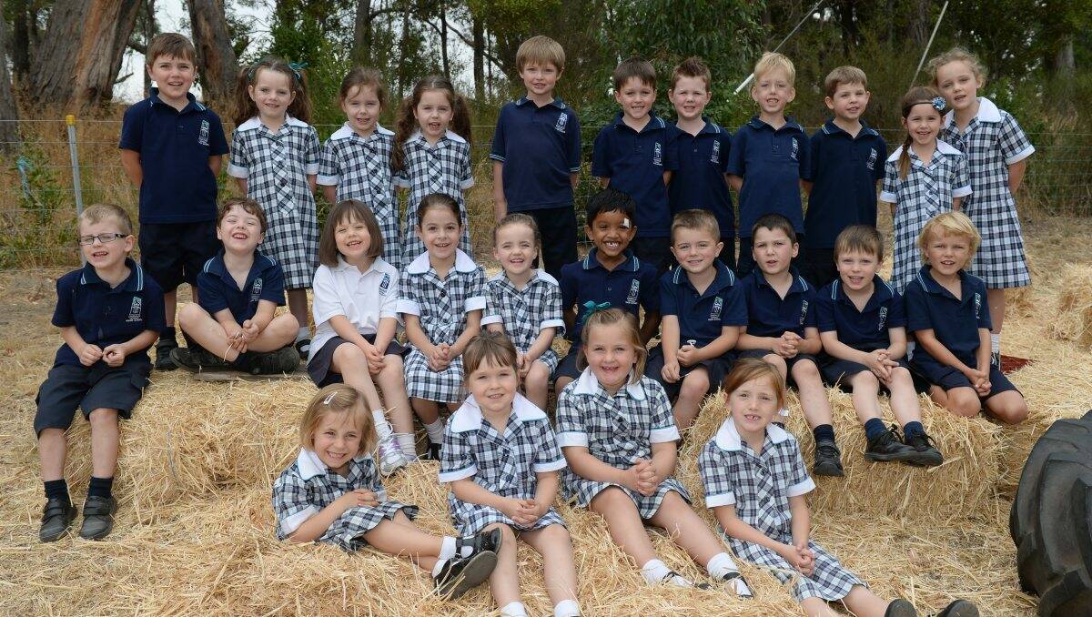 Emmaus Primary School. Back- Willem, Ruby, India, Asher, Benjamin, Oaklee, Sam, Liam, Harrison, Ailish and Eve. Middle- William, Benjamin, Genevieve, Olivia, Isabelle, Yashvanth, Zander, Finlay, Declan and Cole. Front- Sienna, Imogen, Addison and Avery