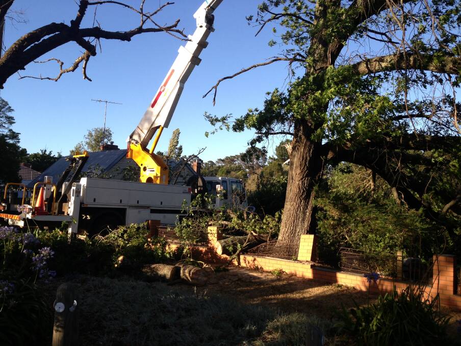 First pictures of the tree down over a house in Creswick. PICS: Matt Dixon