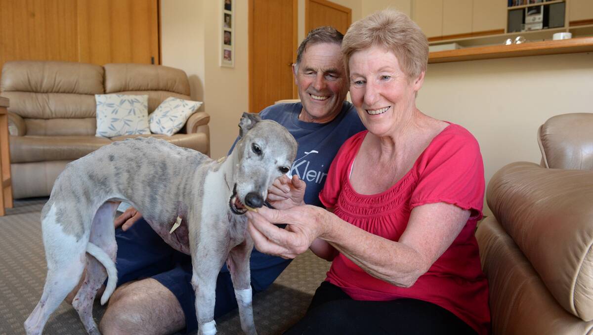 Lorraine and Tom Chambers with Tilly, back home after a vicious attack. PICTURE: ADAM TRAFFORD