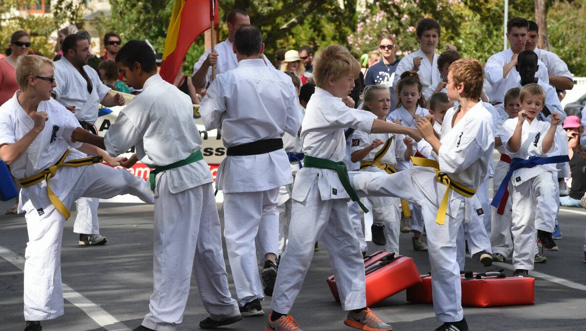 Ballarat Kyokushin Karate Club at The Courier Begonia Parade. PICTURE: JEREMY BANNISTER