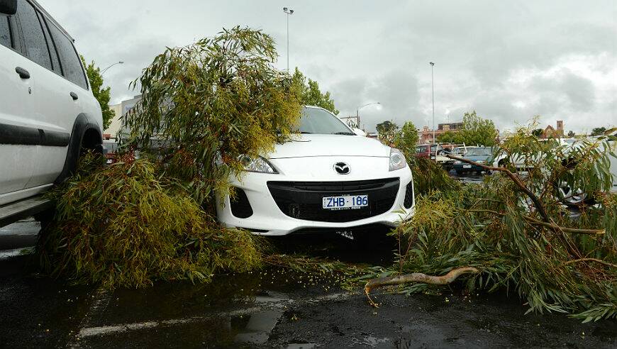 Branches down in the Peel St supermarket carpark. PICTURE: ADAM TRAFFORD