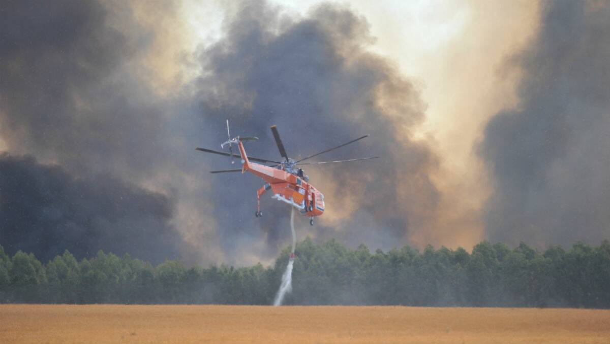 Firefighters are attending a grass fire in a blue gum plantation near Trawalla. PICTURES: JEREMY BANNISTER