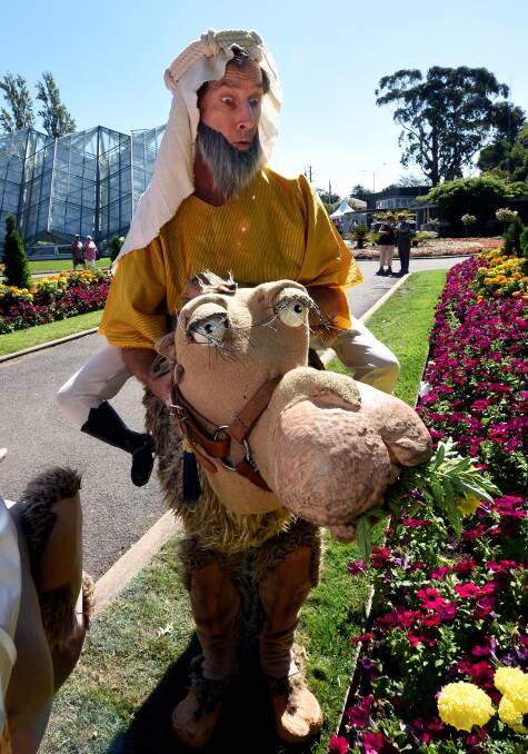 Steve Scott (Festive Factory) with his camel Toyota - Begonia Festival day two  PIC: Jeremy Bannister