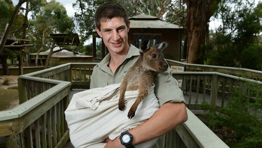 Luke SImmonds adopted Pebbles after her mother died. PICTURE: ADAM TRAFFORD
