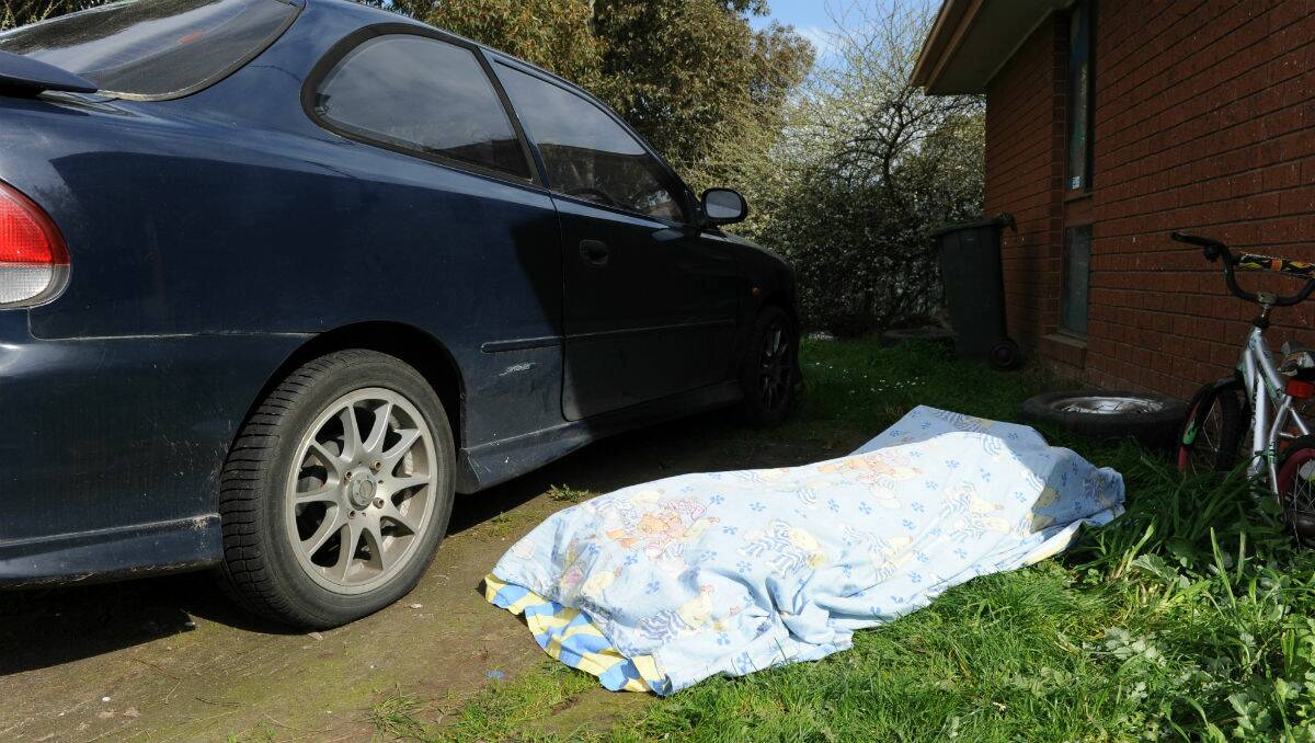 The dog's body was moved by its owners from the driveway where it was shot. PICTURE: JUSTIN WHITELOCK
