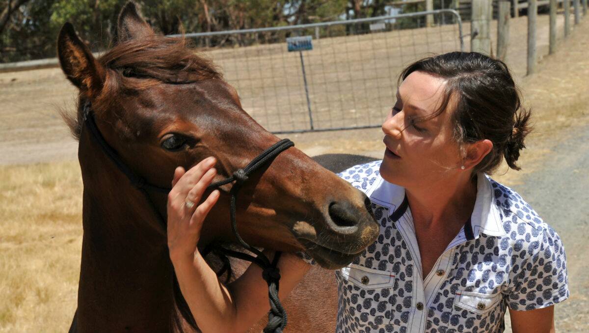 Jillian Maher with Gus, the wild brumby she tamed as part of the Australian Brumby Challenge. PICTURE: JEREMY BANNISTER