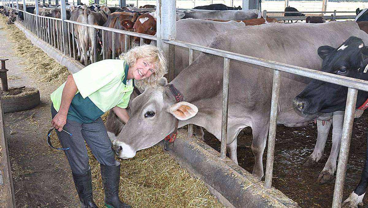Participants at this year’s Dairy Research Foundation Symposium in Kiama will visit John and Andrea Henry’s robotic dairy at Pyree.
