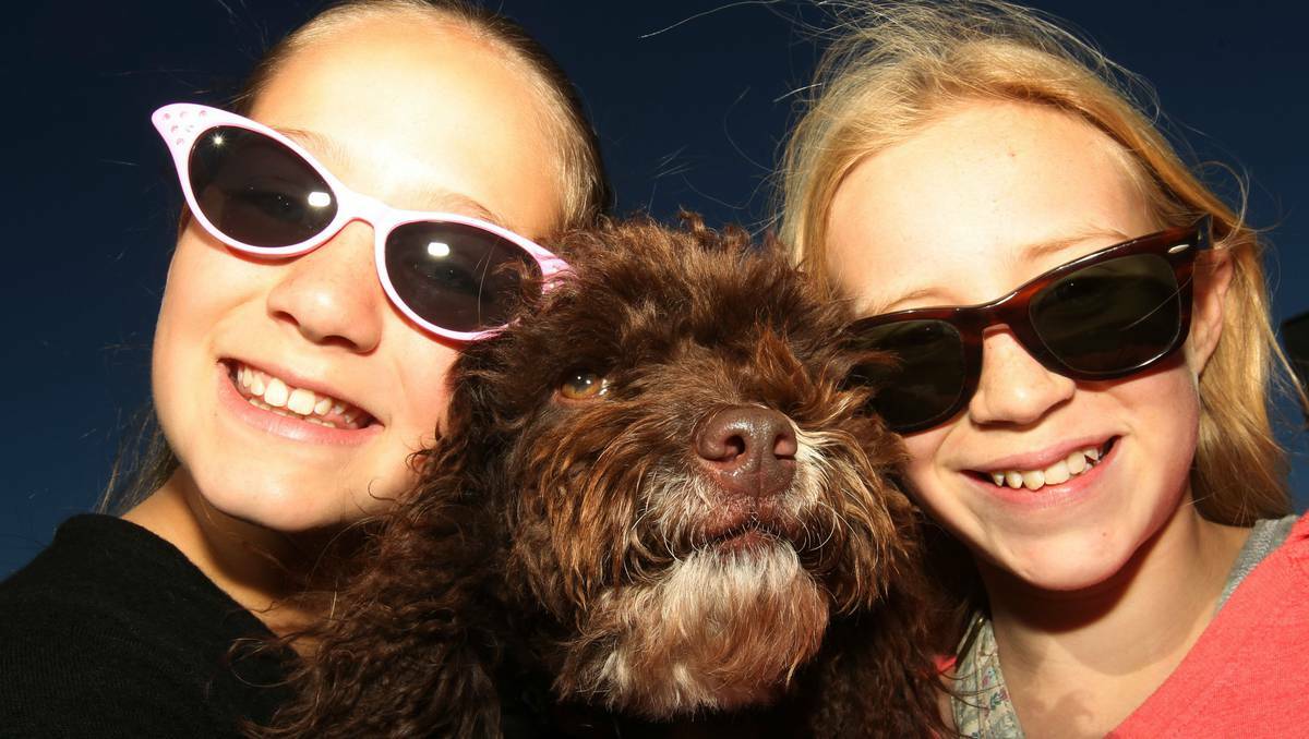 Labradoodle Rosie and 12-year-olds Niamh and Bali joined the Million Paws Walk at Lake Illawarra.