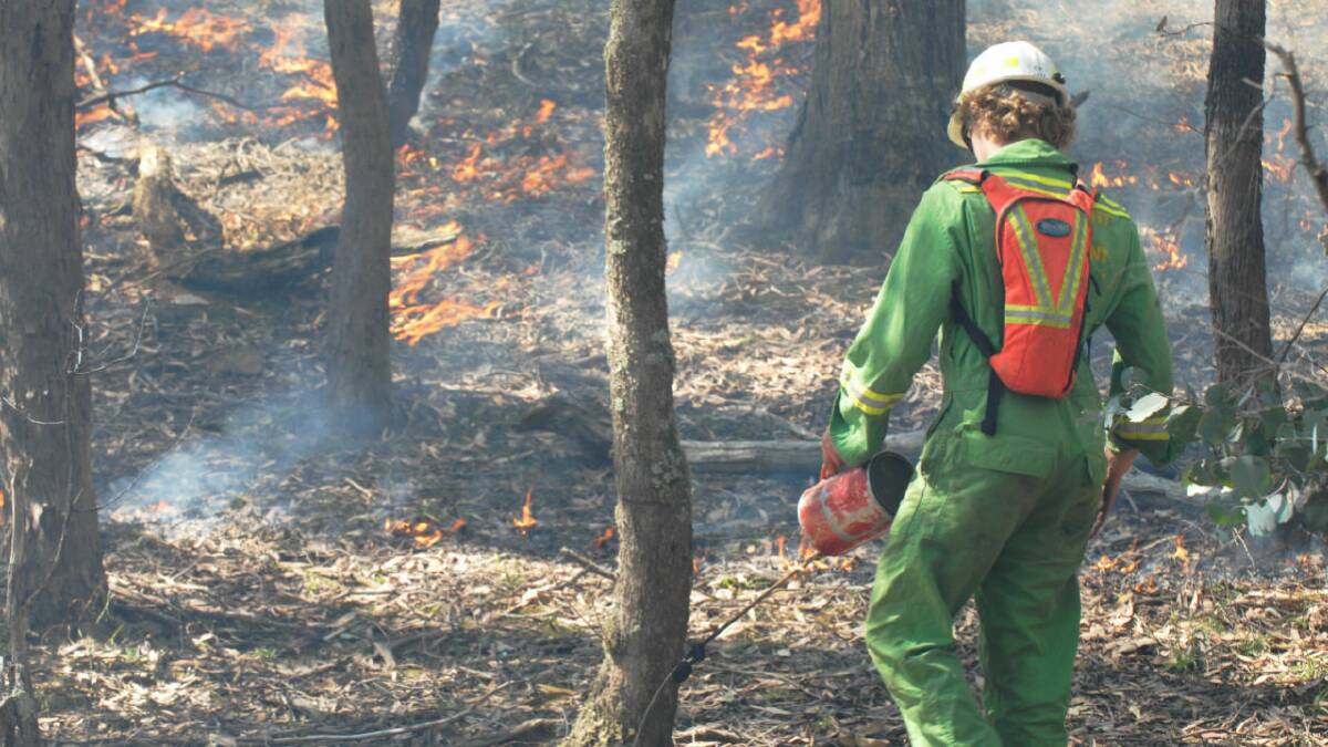 Favourable weather conditions will see a number of burns conducted today to reduce bushfire fuel.
