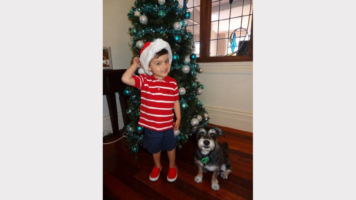 Santa's little apprentice and the furry version (aka santas helper furry brother) practicing their poses in front of the tree for the big night ahead on Christmas eve. Submitted by reader Yvonne Jeganathan. 
