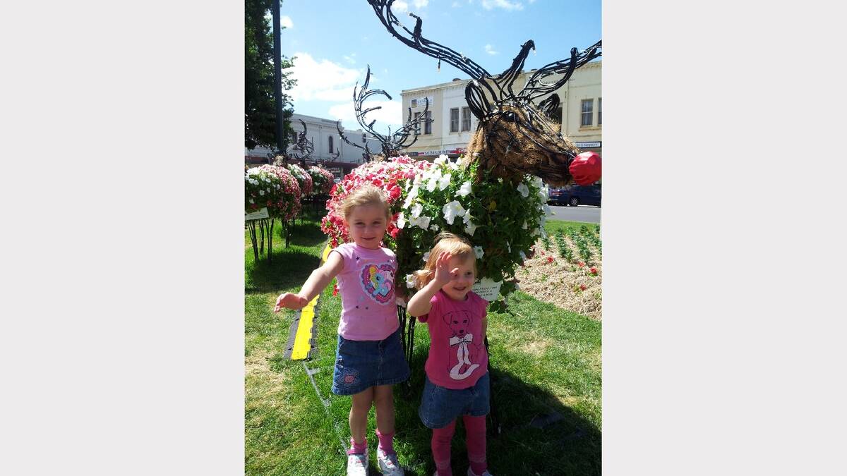 Madilyn and Jessica Dawe visiting the reindeers in Sturt Street. Submitted by reader Kelly Dawe. 