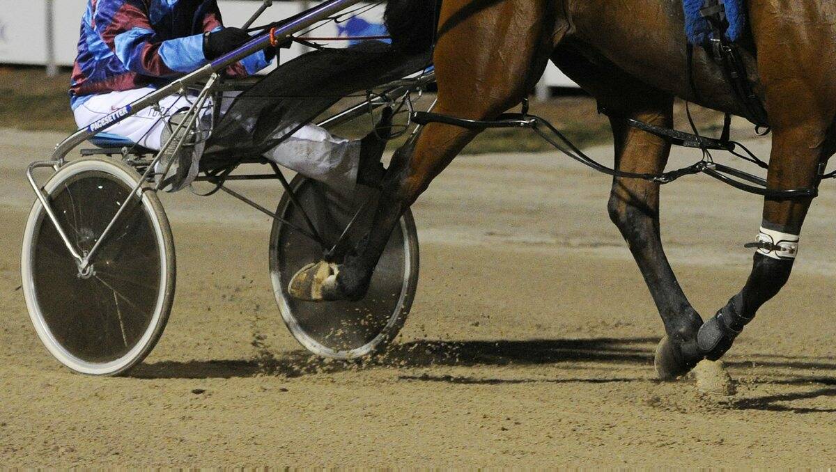 Three New Zealand horses will be running in the Pacing Cup on Saturday.