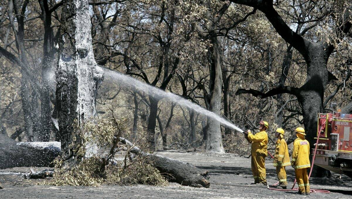 AFTERMATH: Firefighters douse a tree to ensure it has been extinguished after the Carngham and Chepstowe fires earlier this month.