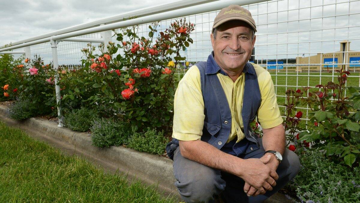 Busy: Ballarat Turf Club groundsman Stan Aitken is busy making sure the grounds are in top condition for the Ballarat Cup. PICTURE: ADAM TRAFFORD