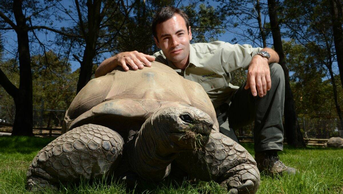 Ballarat Wildlife Park manager Stuart Parker with Hugo the Aldabra giant tortoise, who is settling into his new state-of-the-art enclosure and is ready for visitors. Picture: Adam Trafford