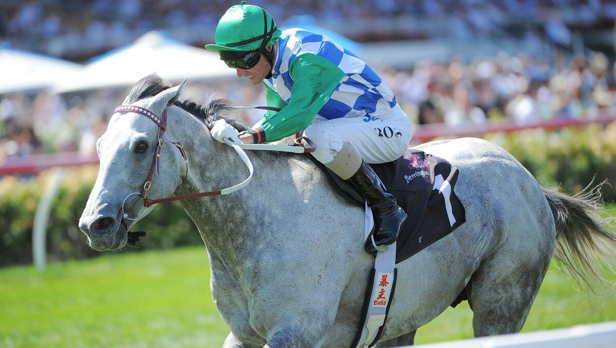Puissance de Lune with Glen Boss aboard. Brad Rawiller will ride the grey this campaign.