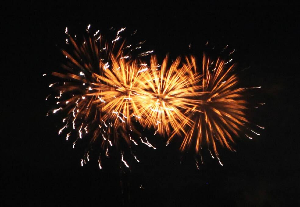 Ballarat fireworks too loud for family pets