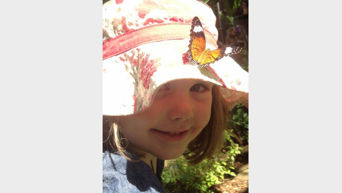 Submitted by Karen Walker. A friendly butterfly settled on her four-year-old daughter Brylee's hat at the Melbourne Zoo.