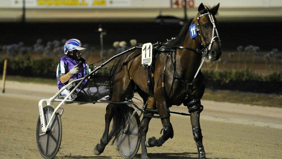  Decorated Jasper in action during this year’s Ballarat Pacing Cup.