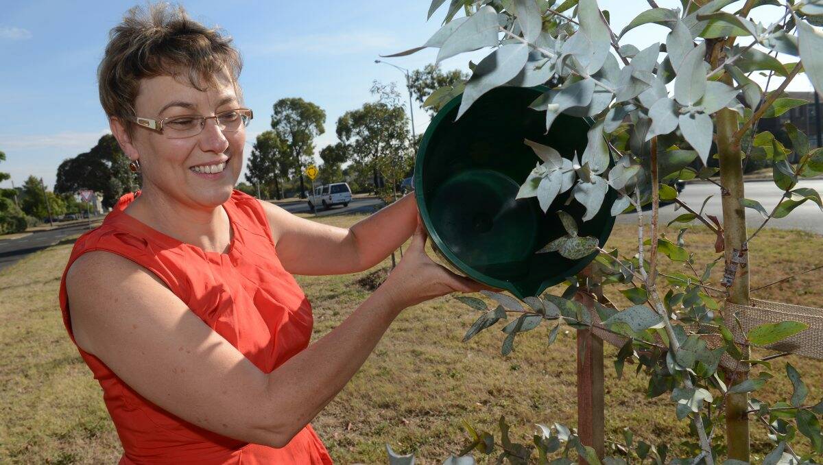 Cr Vicki Coltman wants people to help water the city's new trees.