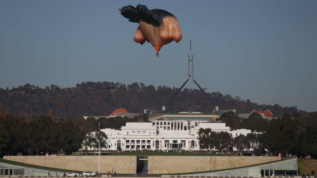 Skywhale made its first flight over Canberra this morning. Picture: Alex Ellinghausen