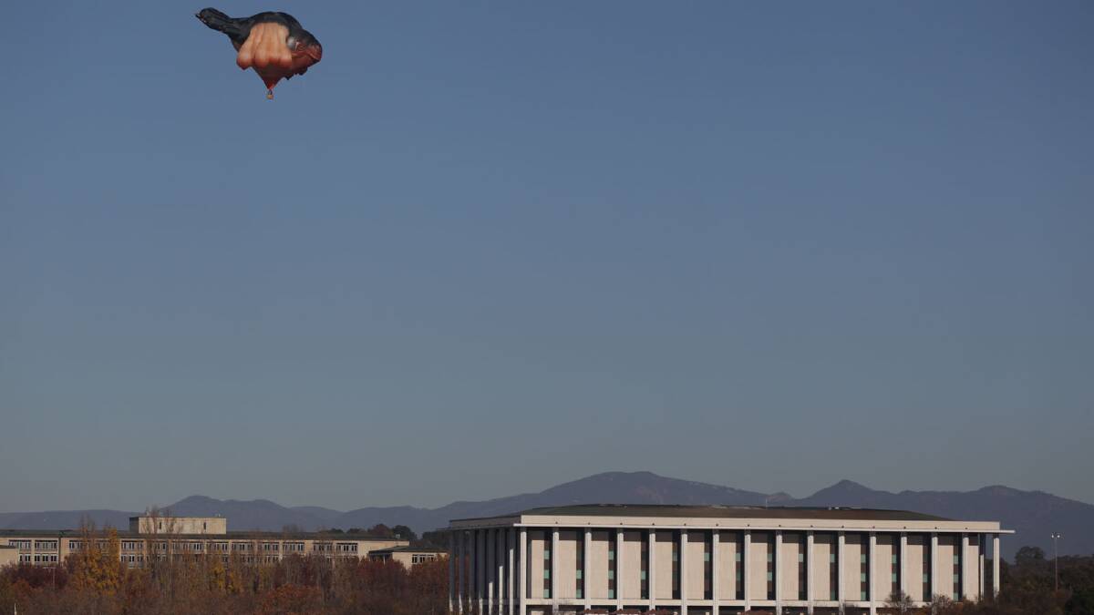 Skywhale made its first flight over Canberra this morning. Picture: Alex Ellinghausen