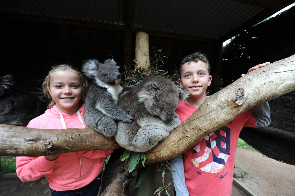 Charlotte and Craig Thomas visit the Wildlife Park while camping at Ballarat, along with Junior Legatees from around Victoria and New South Wales, younger widows and kids