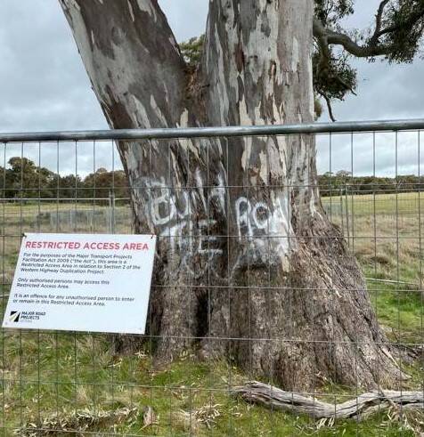 Graffiti reading 'build the road' spray painted onto one of the sacred birthing trees. Picture supplied