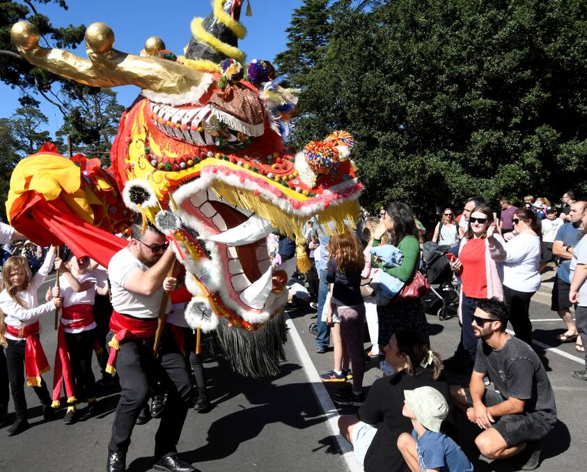 Chinese dragon dancers impress crowds at the Begonia Festival. Picture by Lachlan Bence