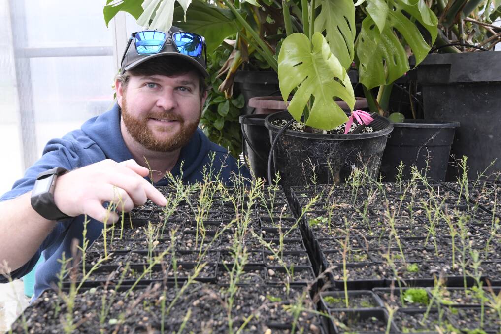 TRUE CALLING: A free TAFE course led Damien Carrod to a horticulture position with the National Trust of Australia. Picture: Lachlan Bence