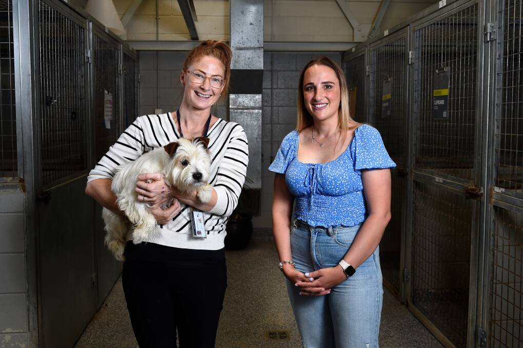 SUPPORT: Deputy mayor Amy Johnson and animal services coordinator Clare Douglas-Haynes with Patch, who is currently up for adoption. Picture: Adam Trafford