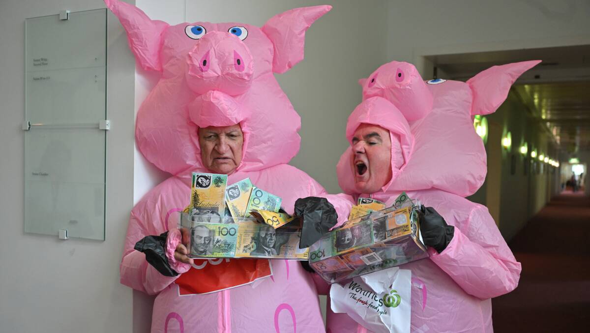Member for Kennedy Bob Katter and Independent Member for Clark Andrew Wilkie dressed as pigs. Picture AAP